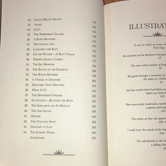 Book: A Journey to the Center of the Earth by Jules Verne - Picture 6 of 16